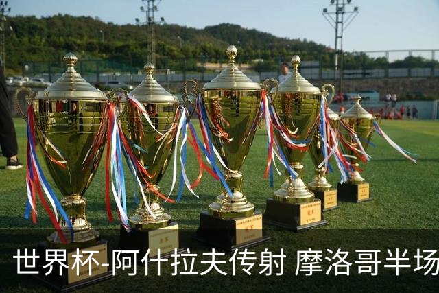 世界杯-阿什拉夫传射 摩洛哥半场2度落后追平2-2海地