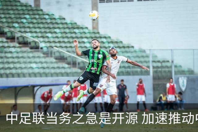 中足联当务之急是开源 加速推动中国足球职业化