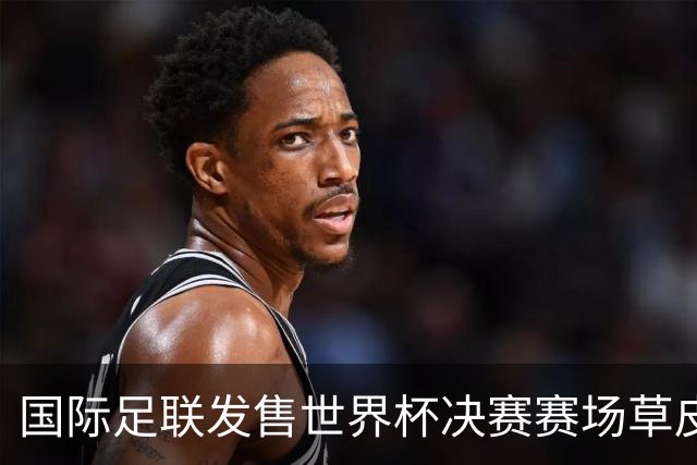 国际足联发售世界杯决赛赛场草皮 450美元一份